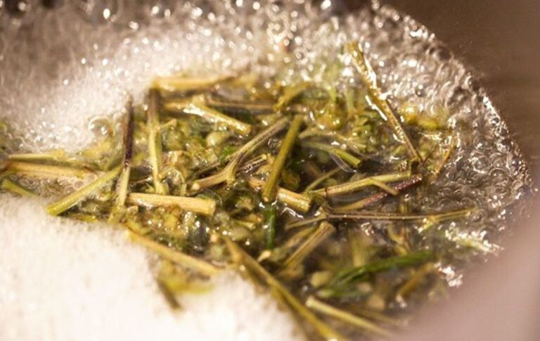 what-to-do-with-cannabis-stems