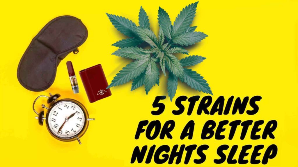 best-strain-for-sleep