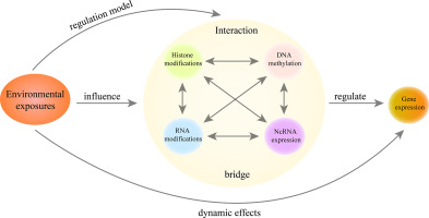 epigenetics-environmental-factors