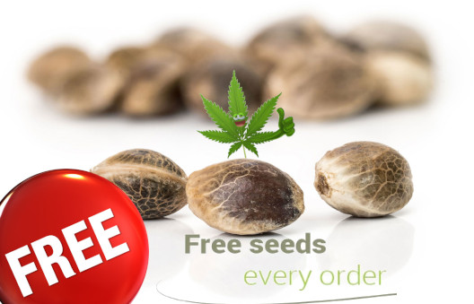 free-cannabis-seeds-canada