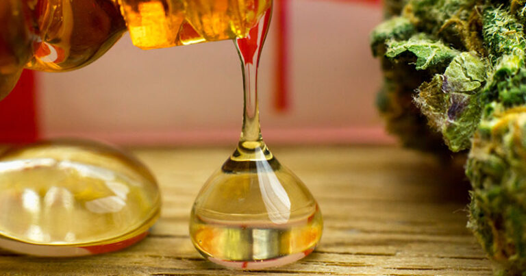 increase-resin-and-terpene-production-in-cannabis-before-harvest