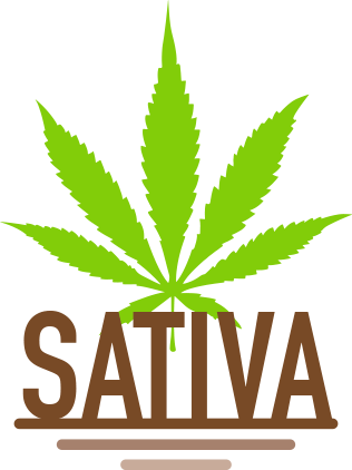 sativa-seeds-canada