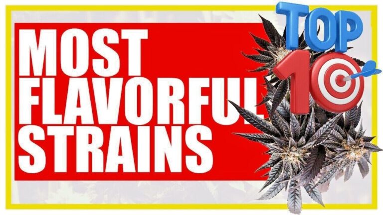 top-ten-best-tasting-weed-strains