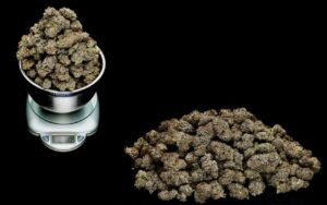 how-many-ounces-in-a-pound-of-weed