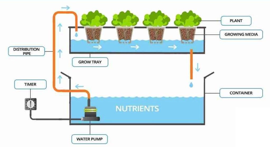 ebb-flow-hydroponic-system-diagram