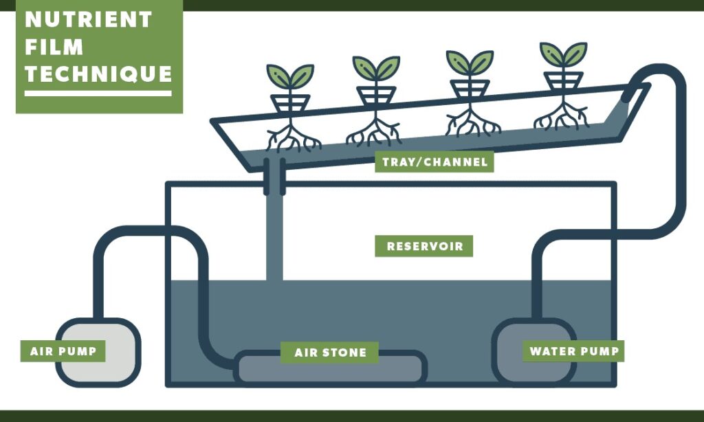 nft-nutrient-film-hydroponic-system-diagram