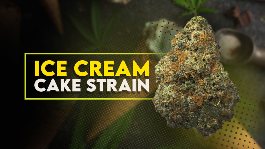 ice-cream-cake-weed-review