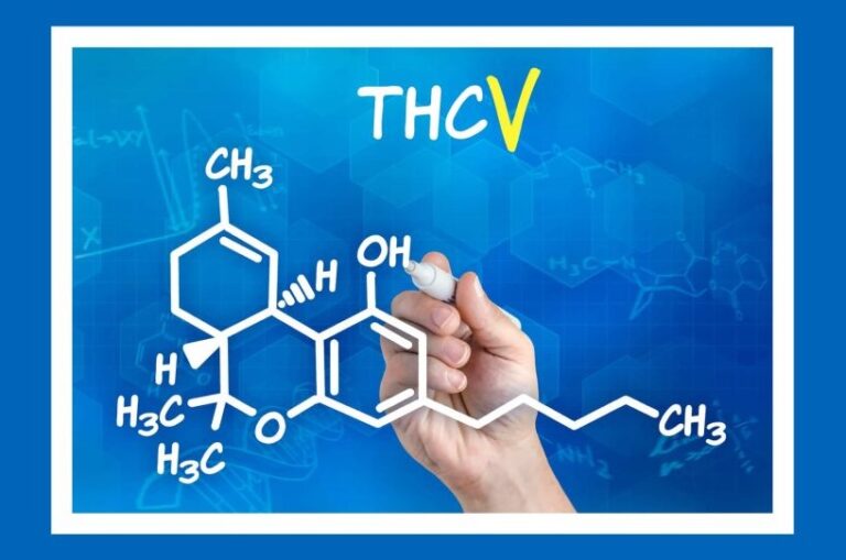 thcv-vs-thc