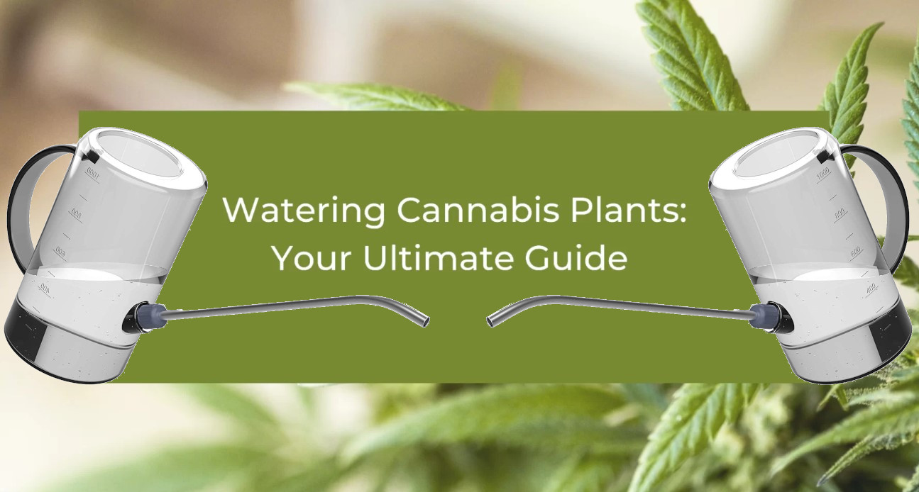 water-weed-plants-guide