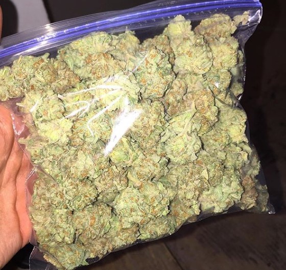 What Is a Zip of Weed and How Much Does it Cost - Dagga Seeds