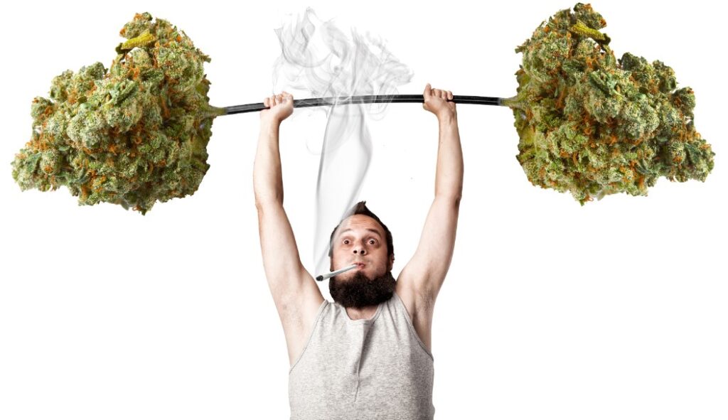 cannabis-help-with-gym-performance