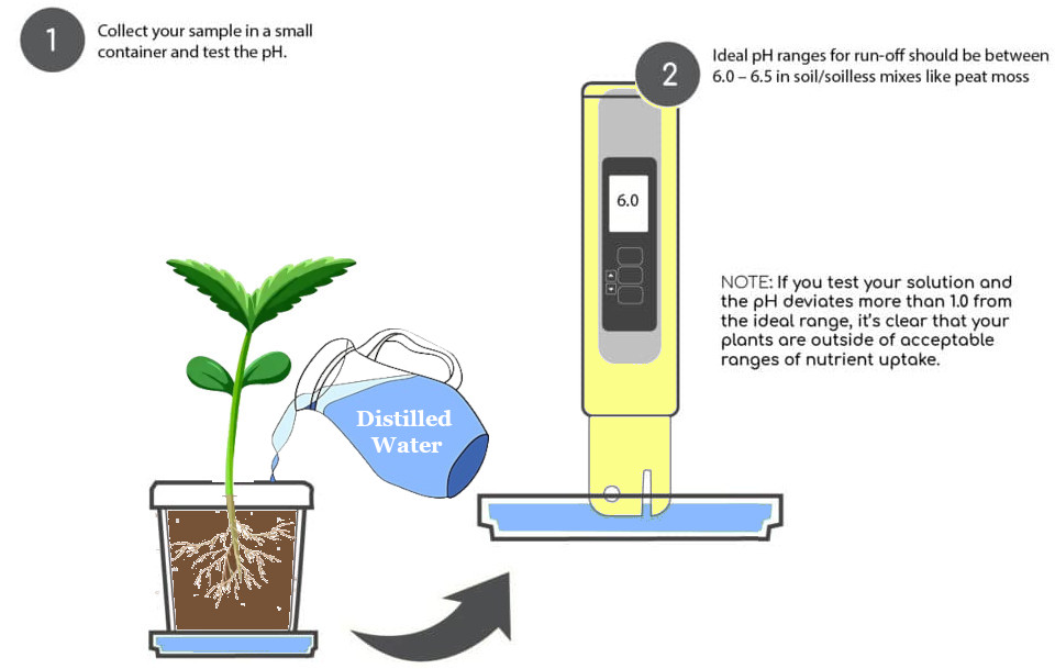ph-soil-cannabis-plants-how-to-measure-runoff-method-pictured
