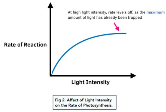 plant-light-absorption-limits-graph