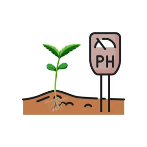 soil-ph-level-measure-cannabis