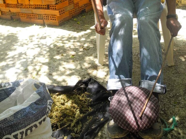 make-moroccan-hash-traditional-method-demonstration