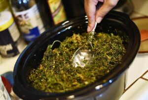 slow-cooker-to-infuse-honey-with-cannabis