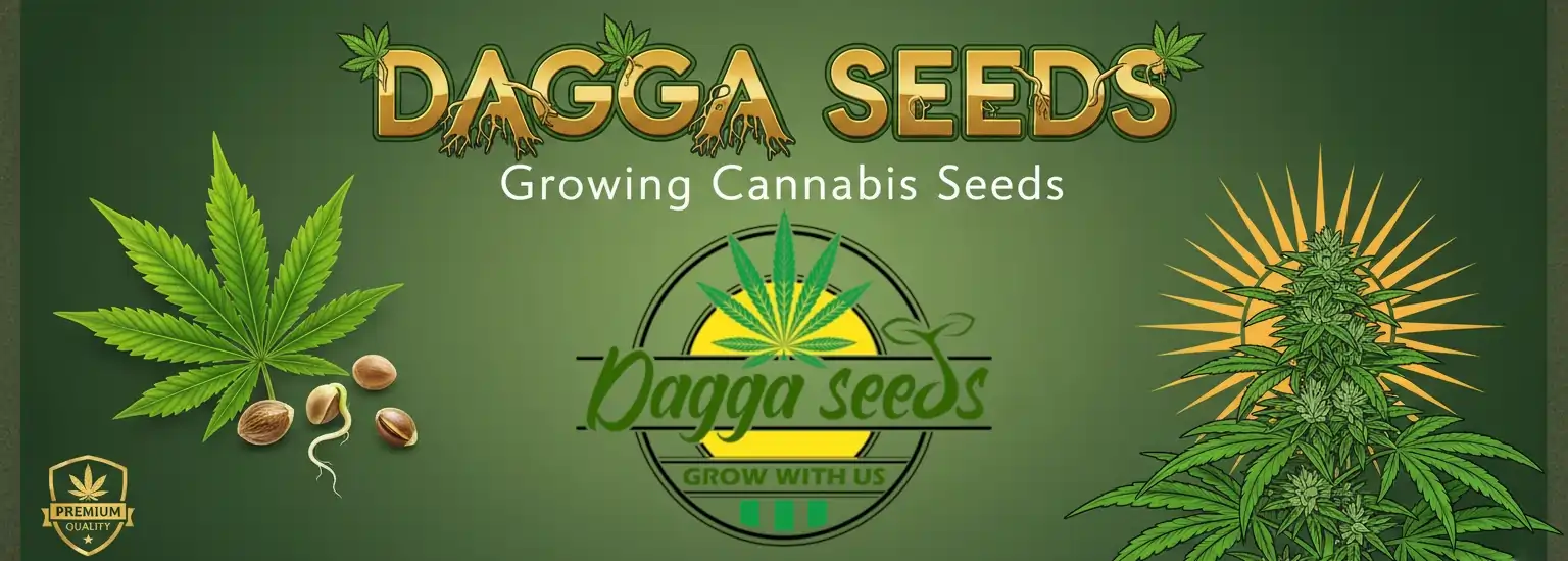 grow-cannabis-seeds